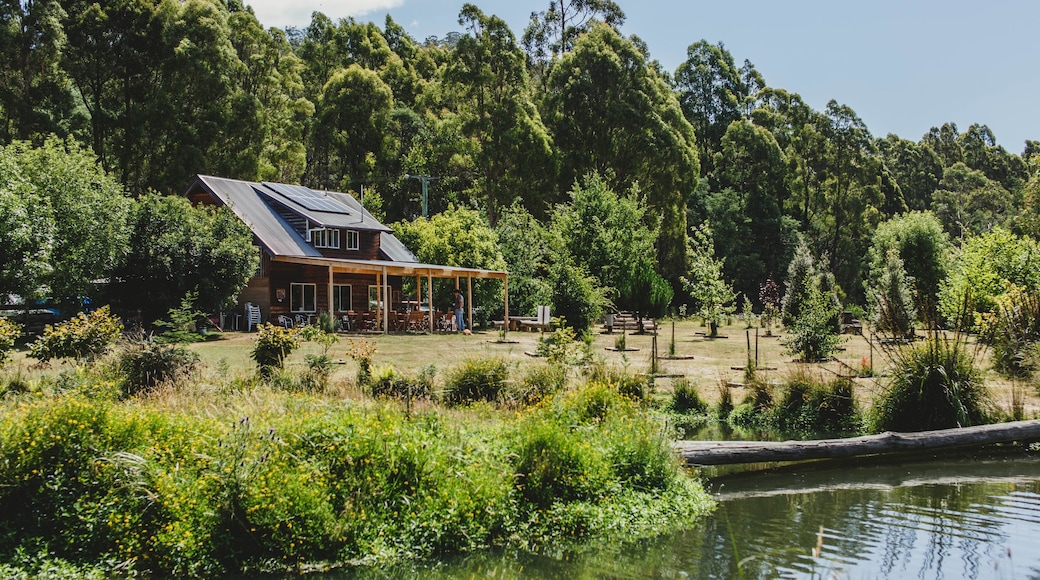 Photo fournie par Tourism Tasmania and Adam Gibson