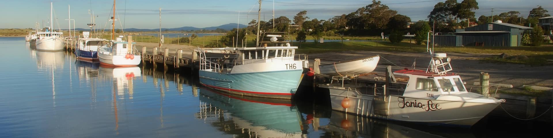 Bridport featuring boating and general coastal views