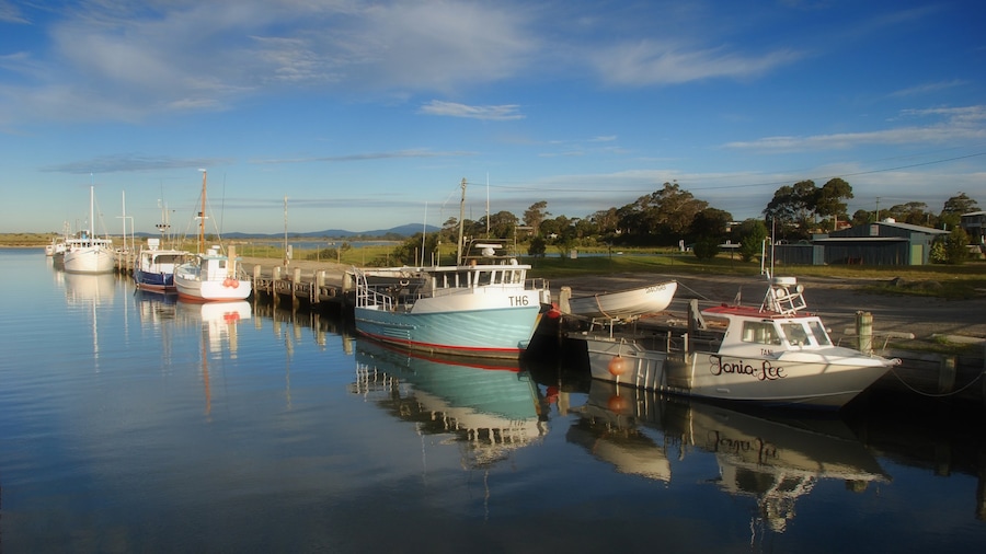 Bridport toont varen en algemene kustgezichten