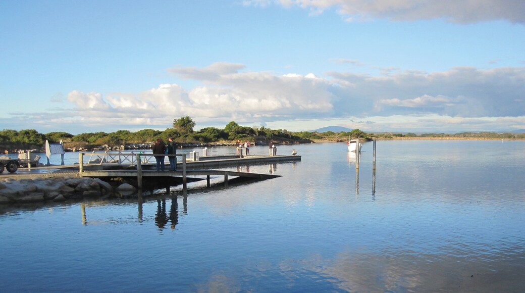 Photo provided by Tourism Tasmania & Paul Leitch