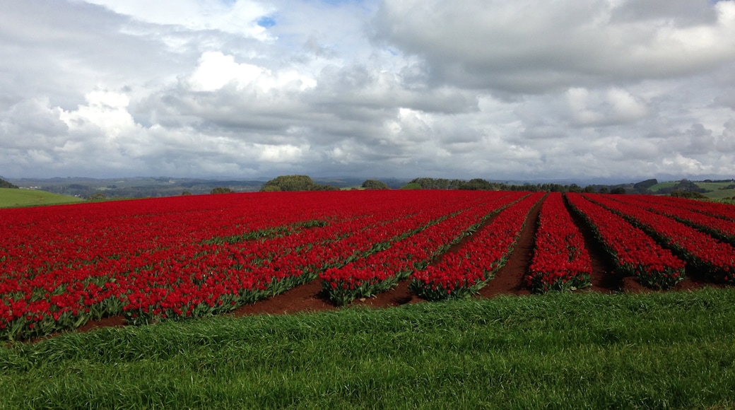 Photo provided by Tourism Tasmania