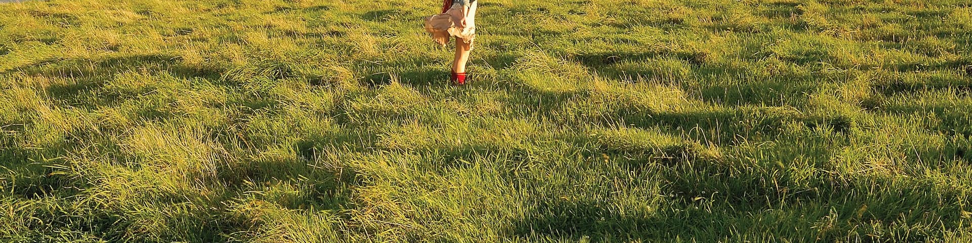 Port Sorell mit einem Berge, Sonnenuntergang und allgemeine KĂŒstenansicht