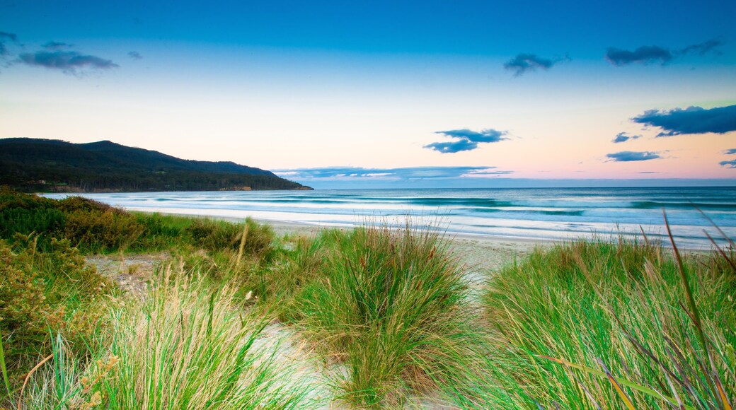 الصورة مقدّمة من Tourism Tasmania