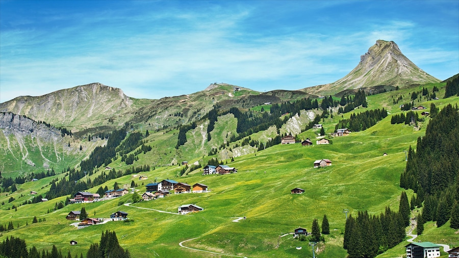 Skigebiet Damuels-Mellau-Fashina som viser landbrugsområde, en lille by eller en landsby og bjerge