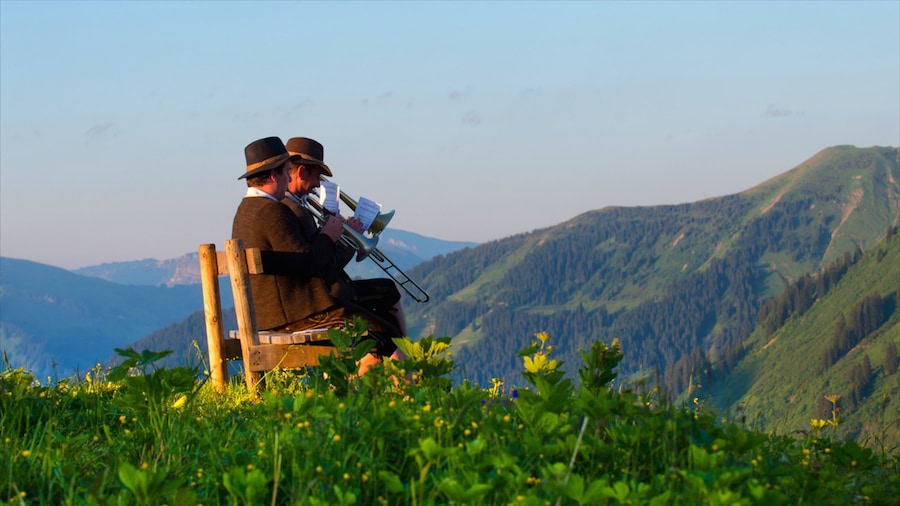 Damuels-Mellau-Fashina Ski Resort which includes music, performance art and mountains