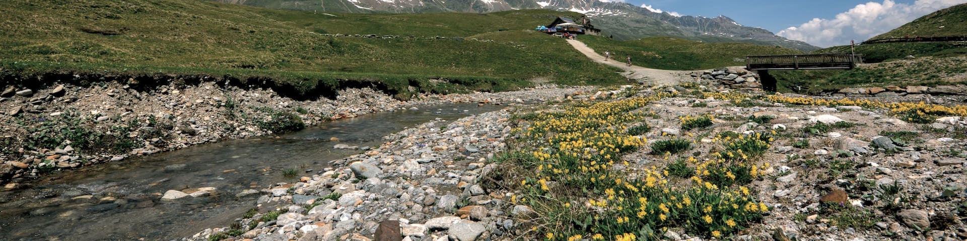 Obergurgl featuring mountains, farmland and a river or creek