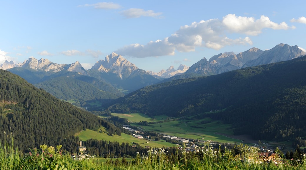 ์ฌ์ง ์ ๊ณต: Laurin Moser/Tourist Board Kronplatz Holiday Region
