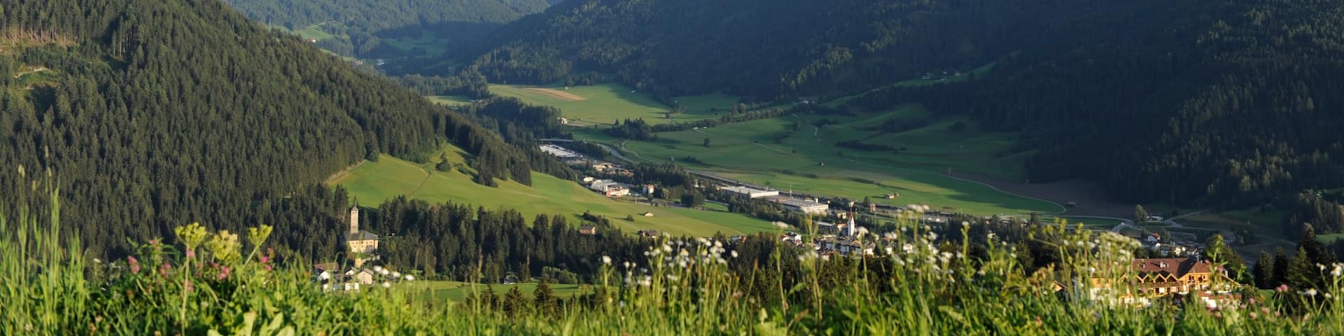 Skigebiet Kronplatz welches beinhaltet Berge und Waldmotive