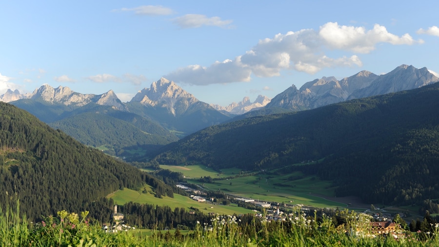 Kronplatz Skisportsområde som viser bjerge og skovområder