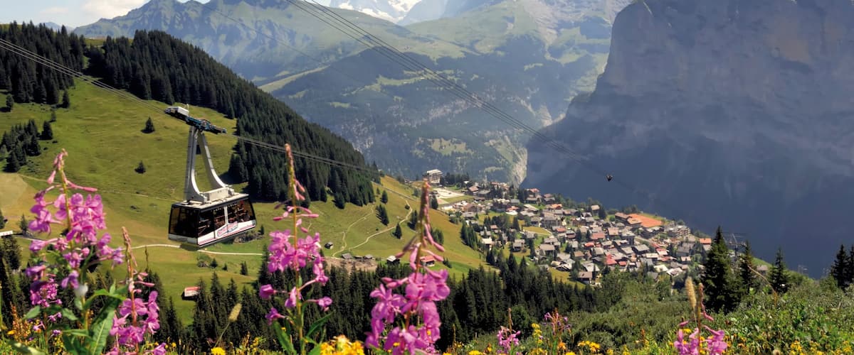 Muerren which includes a small town or village, a gondola and wild flowers