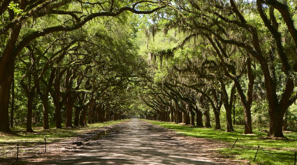 Wormsloe Historic Site