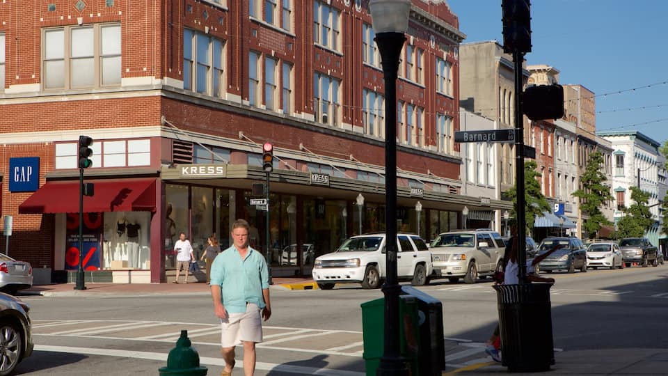 Savannah que incluye una ciudad y también un hombre
