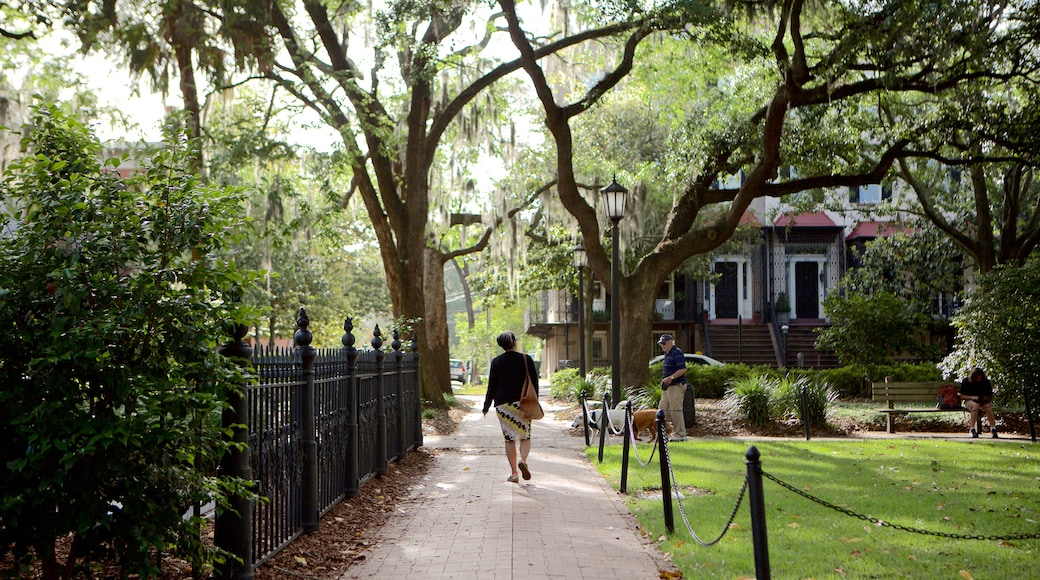Monterey Square toont een park