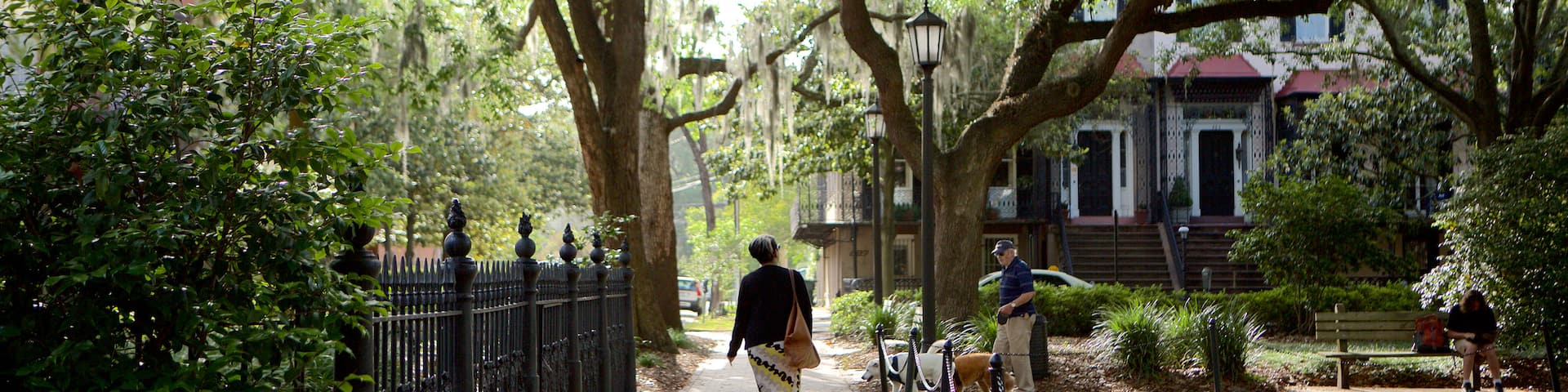 Monterey Square featuring a garden