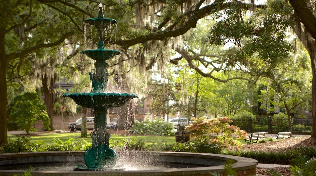 Plaza Lafayette que incluye un parque y una fuente