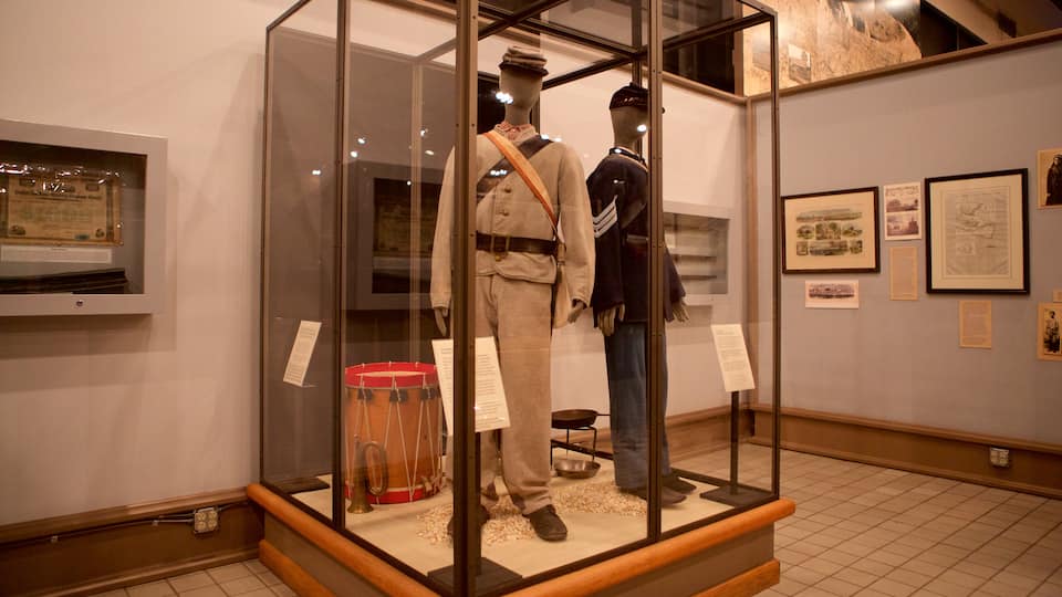 Savannah featuring interior views