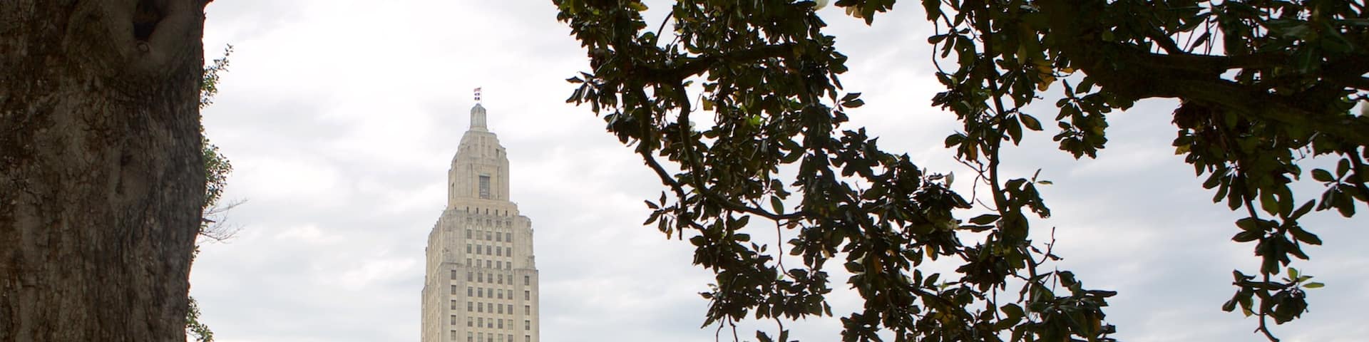 Louisiana State Capitol which includes a park