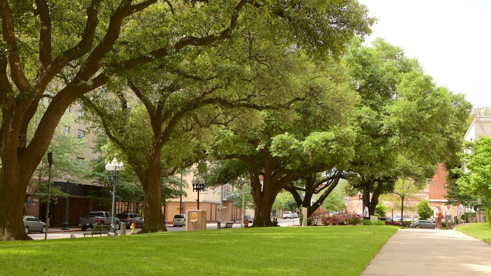 Shreveport que incluye un jardín