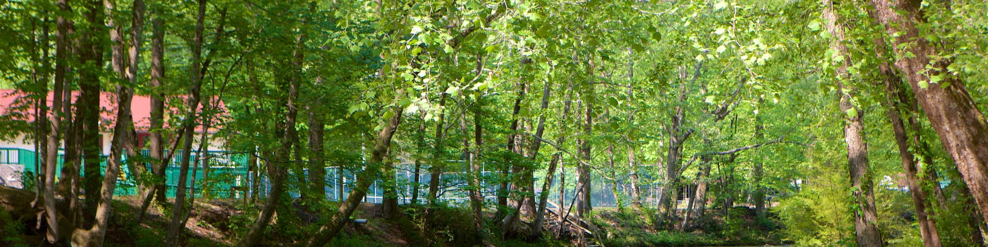 Helen featuring a river or creek