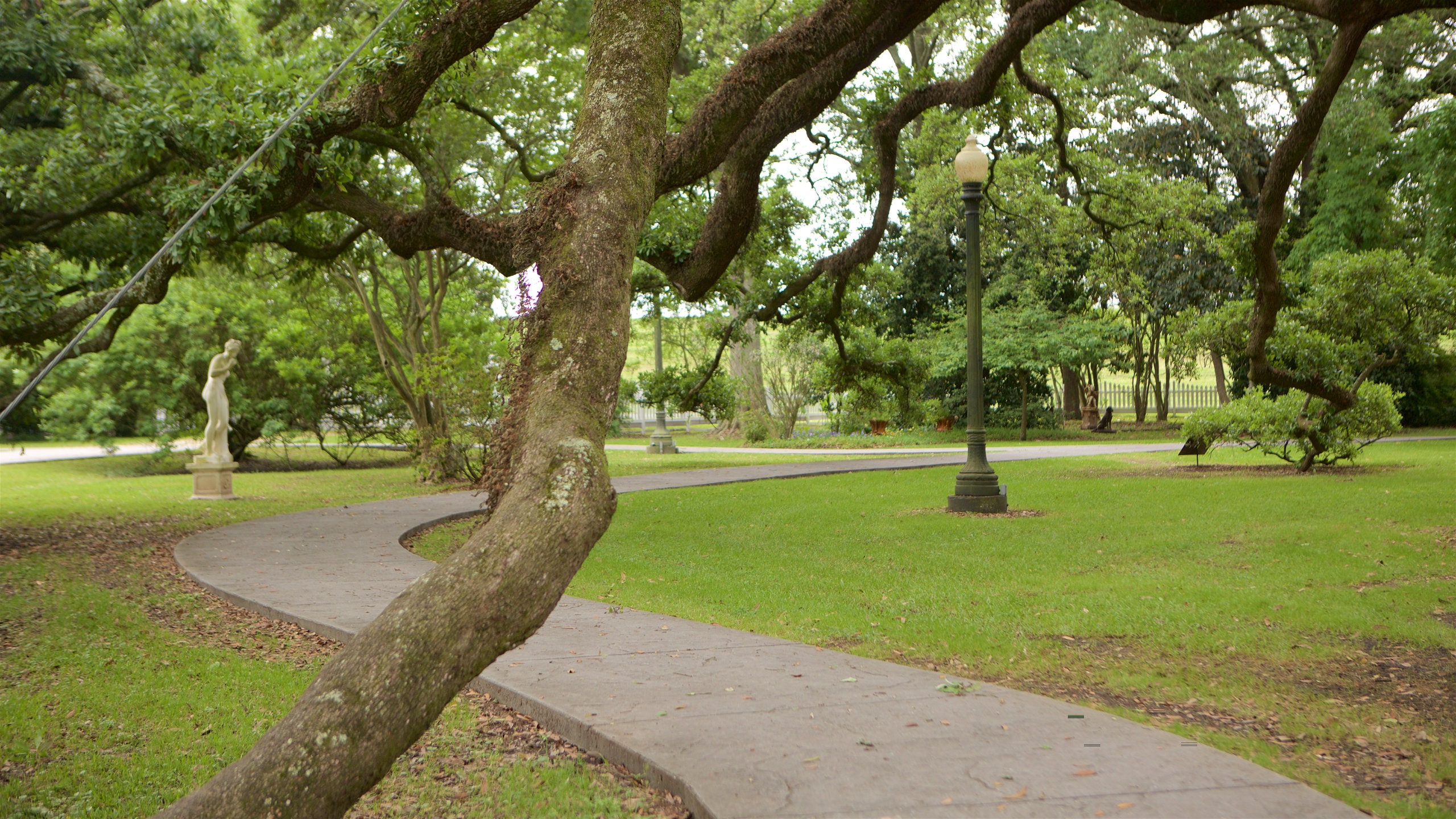 Gonzales showing a park