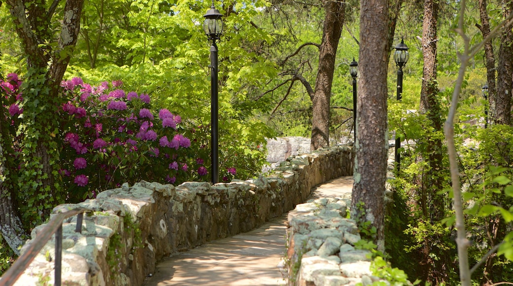 Lookout Mountain which includes a garden