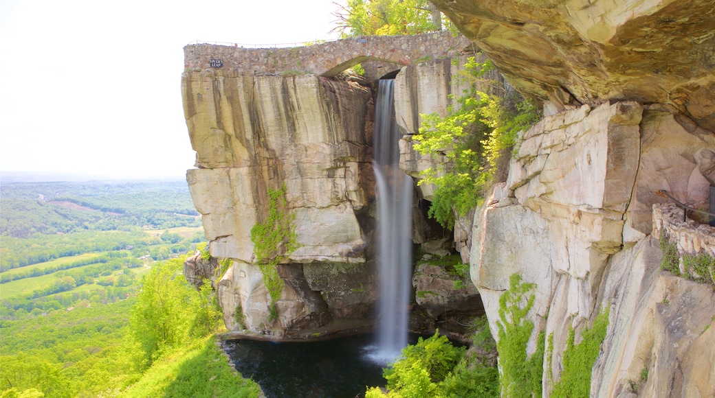 Lookout Mountain montrant scĂšnes tranquilles et cascade