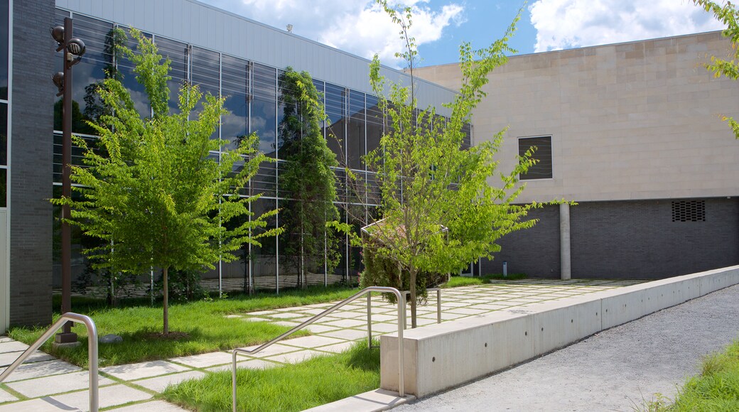 Georgia Museum of Art