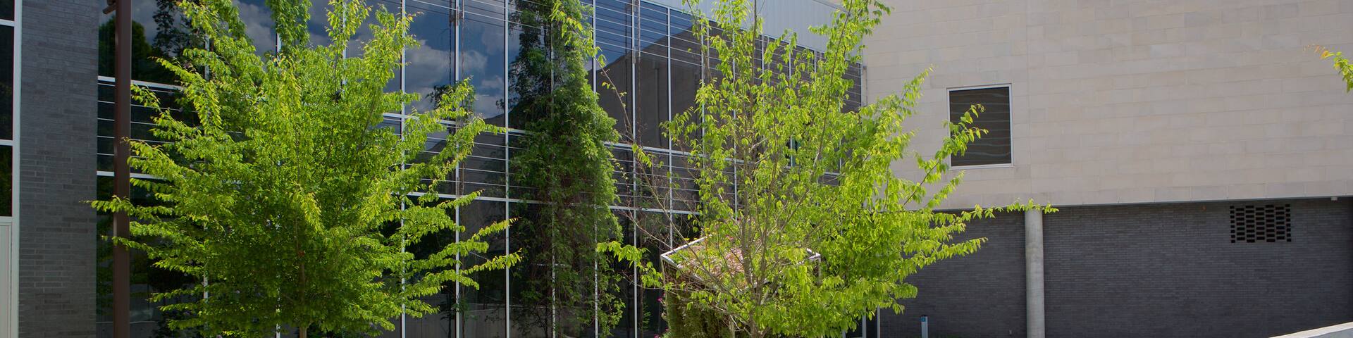 ジョージア美術館