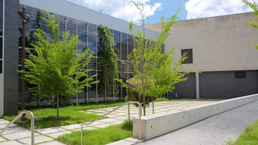Georgia Museum of Art