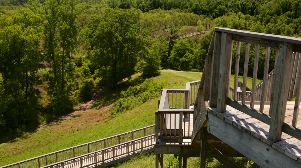 Ocmulgee National Monument