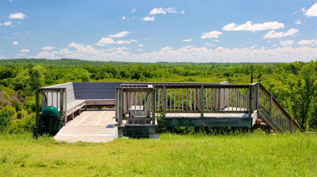 Ocmulgee National Monument showing tranquil scenes and views