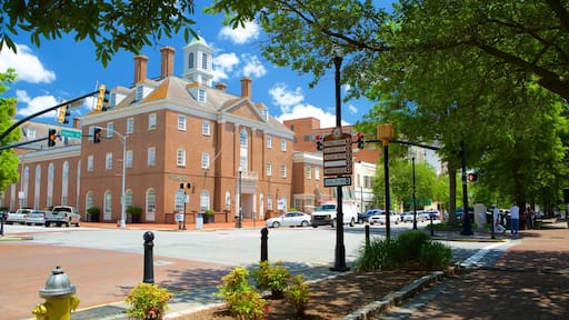 Macon featuring a city