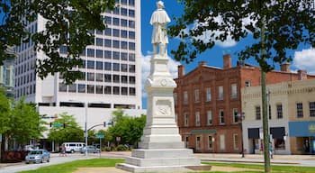 Macon featuring a city and a statue or sculpture