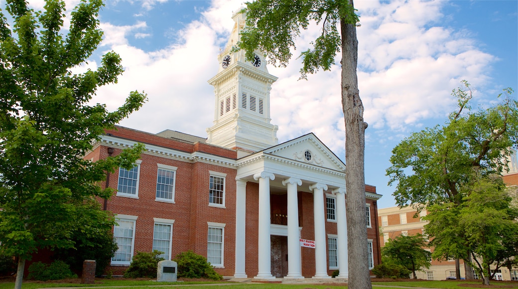 Milledgeville showing a garden