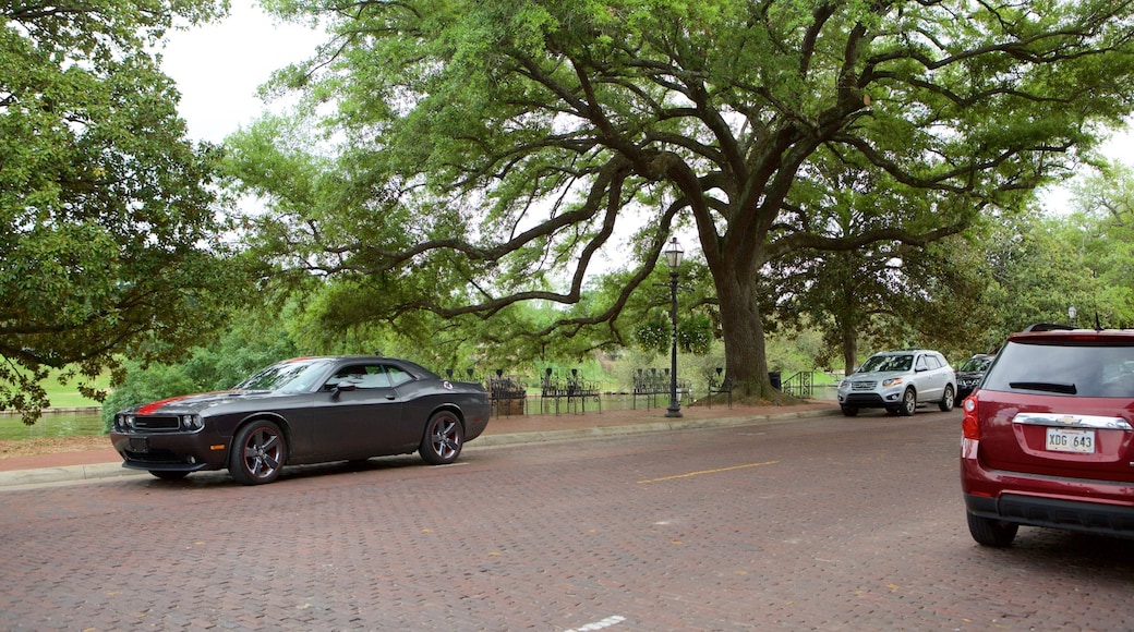 Natchitoches which includes a park