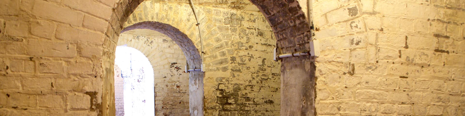 Old Fort Jackson qui includes vues intérieures et patrimoine historique