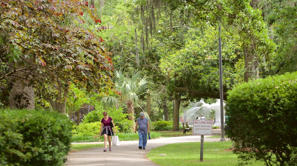Forsyth Park que incluye un parque y también un pequeño grupo de personas