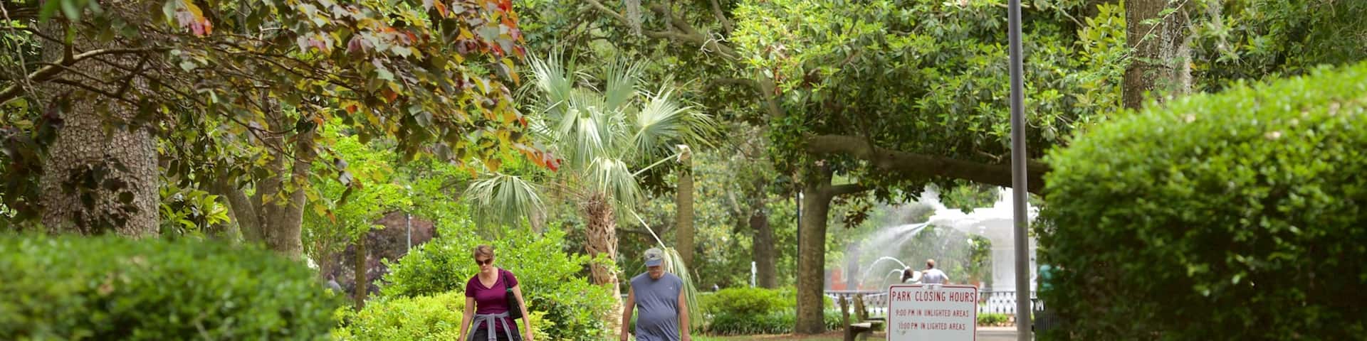 フォーサイス パーク どの含み 公園 及び 少数の人々