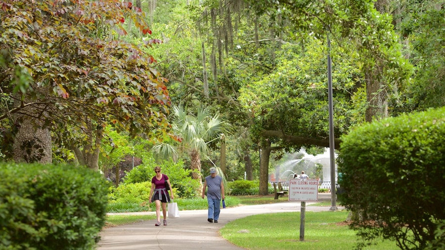 Visitors walking under moss-draped oak trees along the paths of Forsyth Park in Savannah, Georgia