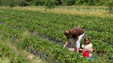 Cabot featuring farmland as well as a family