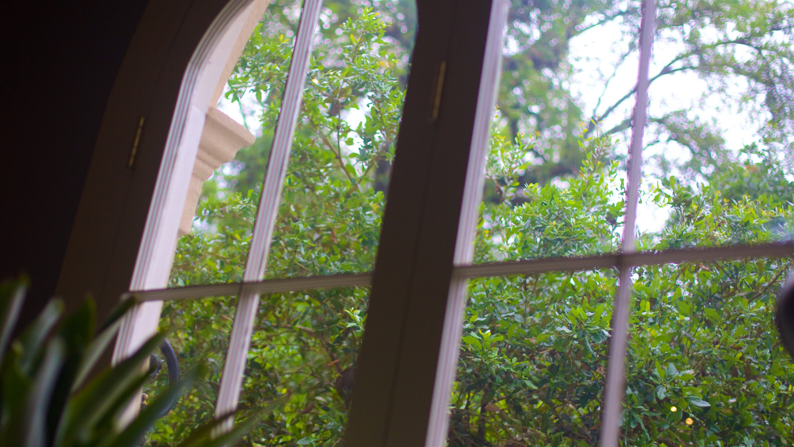 ゴンザレス観光ガイド 定番人気スポットを参考に自分にピッタリの観光プランを立てよう エクスペディア