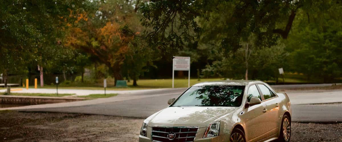 Jean Lafitte Scenic Byway