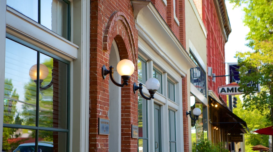 Madison showing heritage architecture