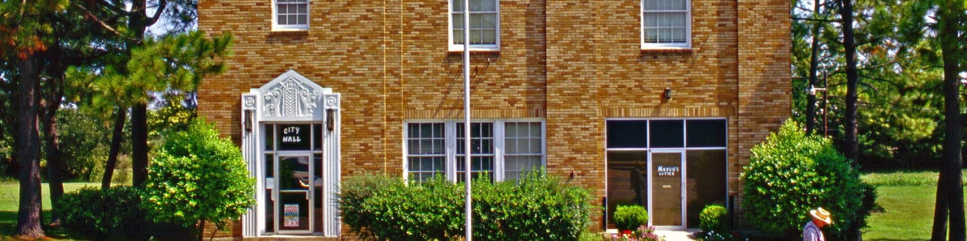 Eudora featuring heritage architecture as well as an individual male