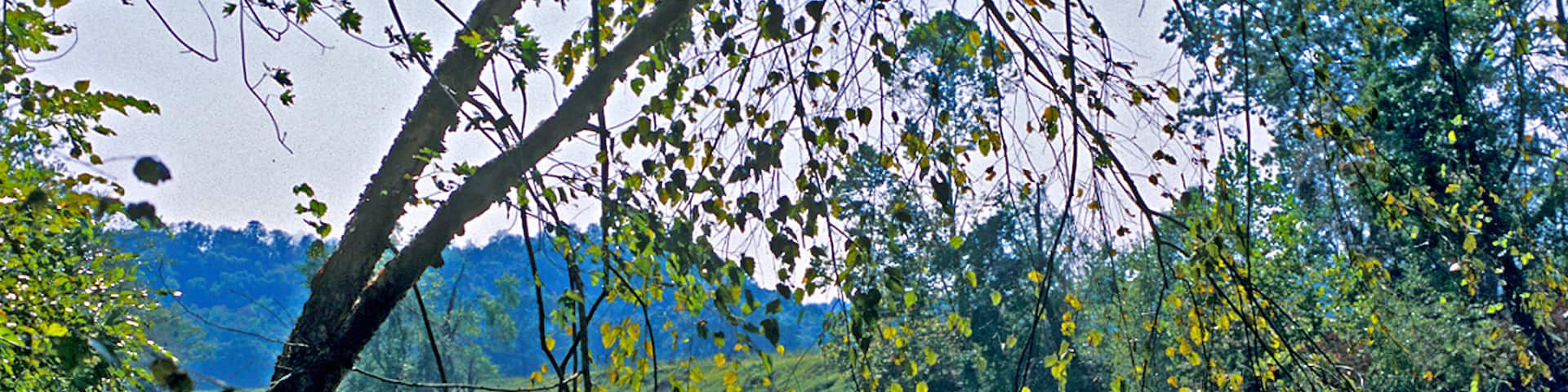 Greenbrier featuring a river or creek