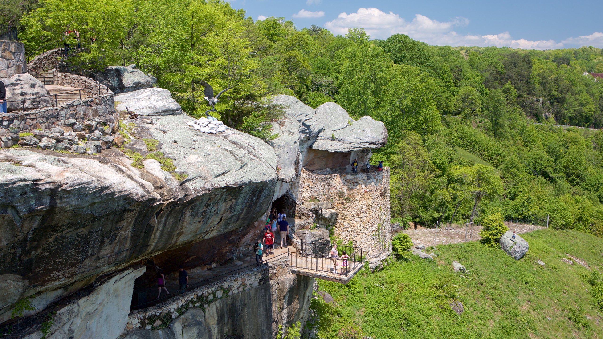 Are Dogs Allowed In Lookout Mountain