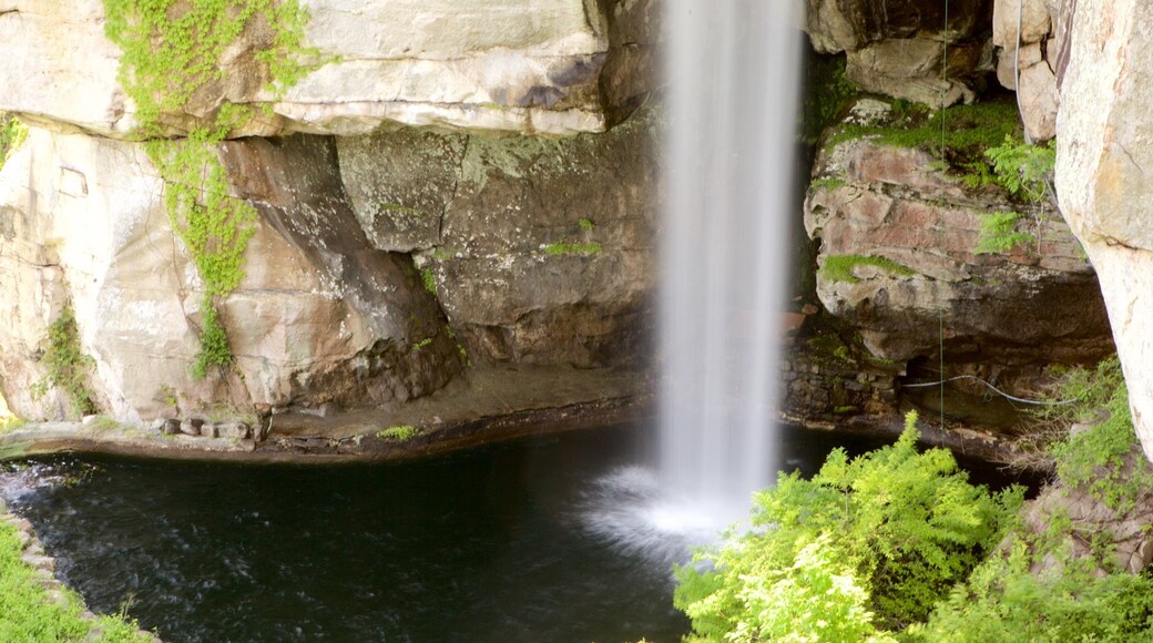 Lookout Mountain featuring a cascade