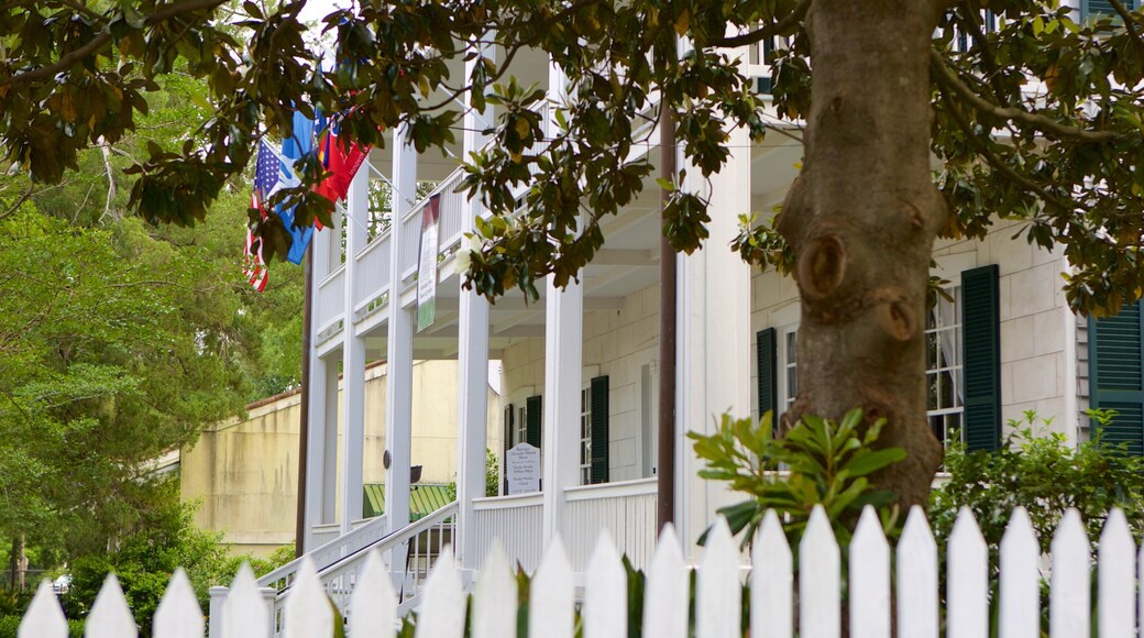 Alexandre Mouton House featuring a house