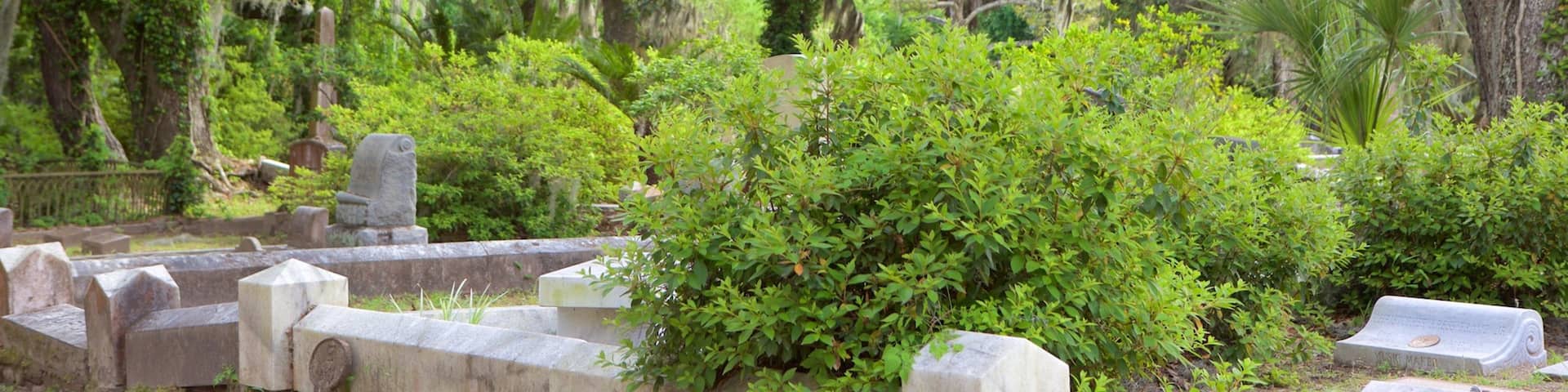Bonaventure Cemetery which includes forest scenes and a cemetery