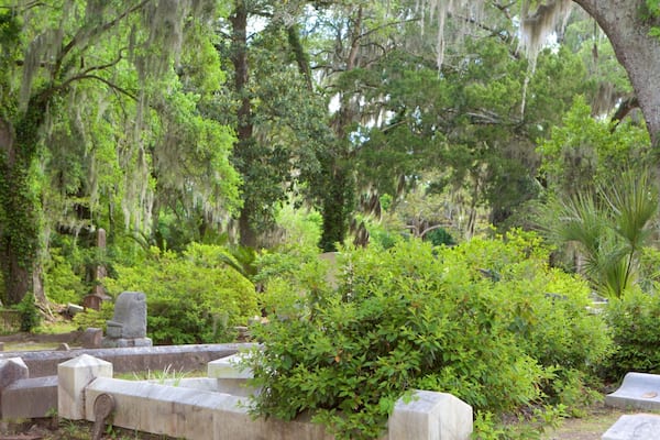 Bonaventure Cemetery showing a cemetery and forest scenes